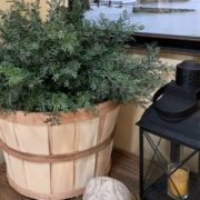 Half Bushel basket